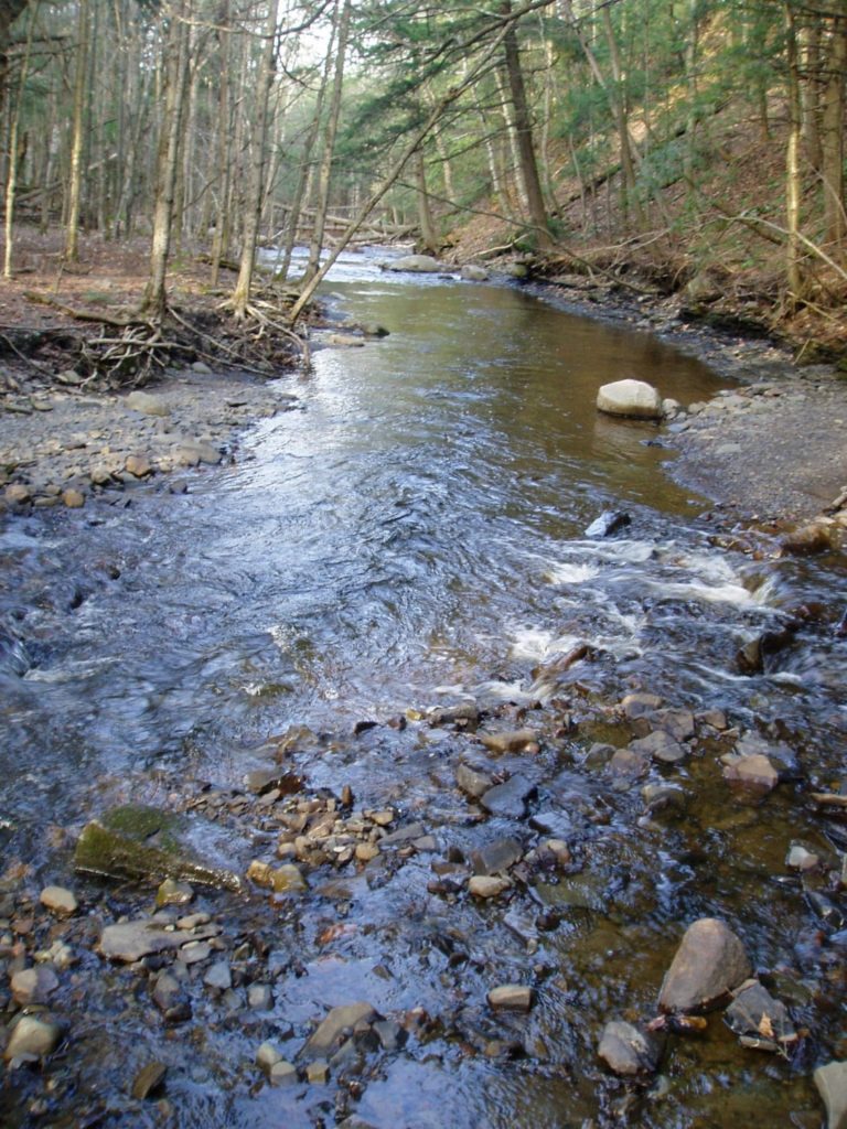 stream during early season trout fishing