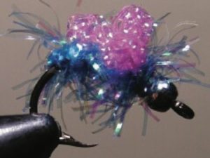 a close up of an estaz egg sack fly