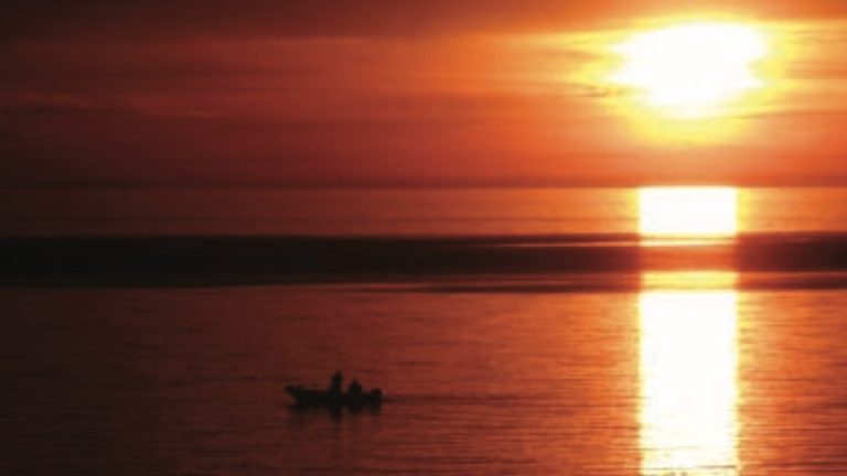Sunset Best Fishing Website in NY