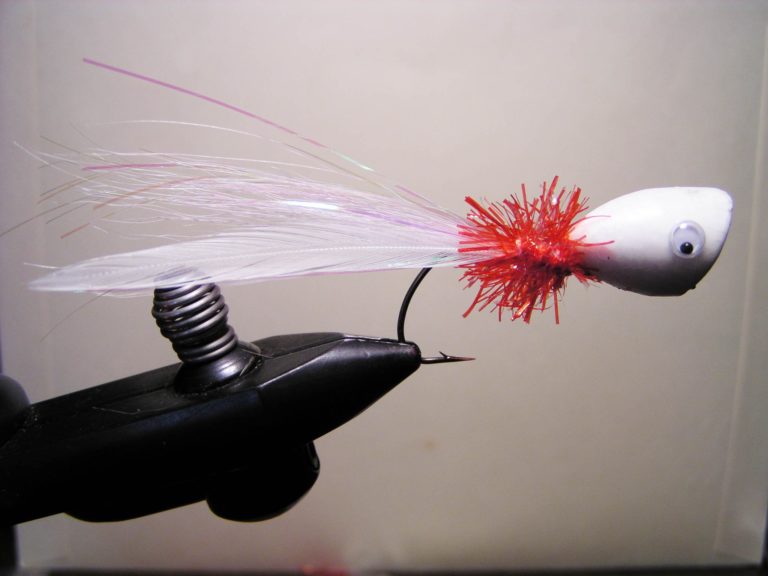 A close up of a newly made, white and red fly fishing popper