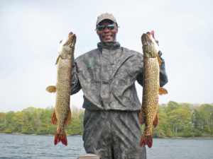 man holding up two big fish caught on a lake in ideal northern pike habitat