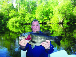 drop shot rigs for bass