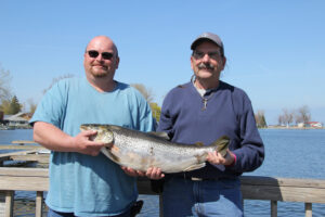 Spring brown trout lake ontario
