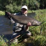 A large chinook salmon.